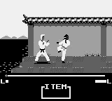 Master Karateka Screenshot 1